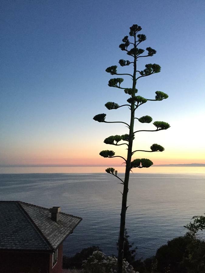 Appartamento A Moneglia, Tra Portofino E Le Cinque Terre Extérieur photo